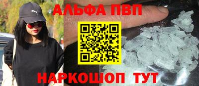 спиды Гай