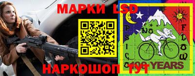 спиды Гай