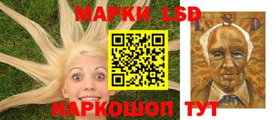 спиды Гай