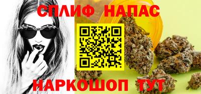 меф Гатчина