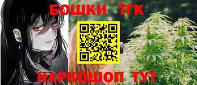 спиды Гай