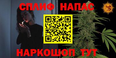 меф Гатчина
