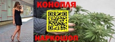 спиды Гай