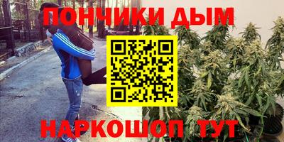 бошки Гагарин