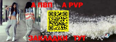спиды Гай