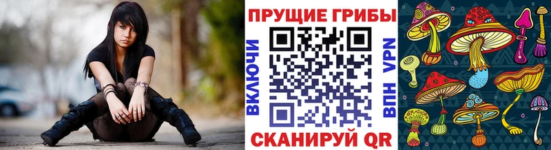 Галлюциногенные грибы ЛСД  OMG рабочий сайт  Муром  купить  