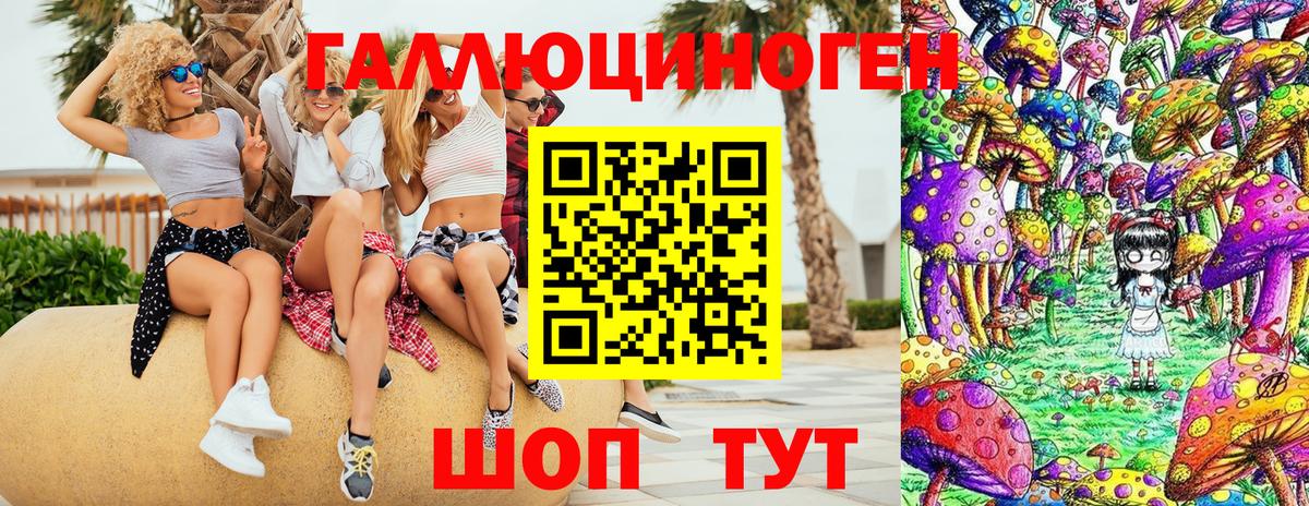 Псилоцибиновые грибы Psilocybe Муром